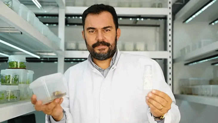 Çocukluk merakı bilimsel başarıya dönüştü! Diş otu bitkisinden kırışıklık karşıtı krem geliştirdi